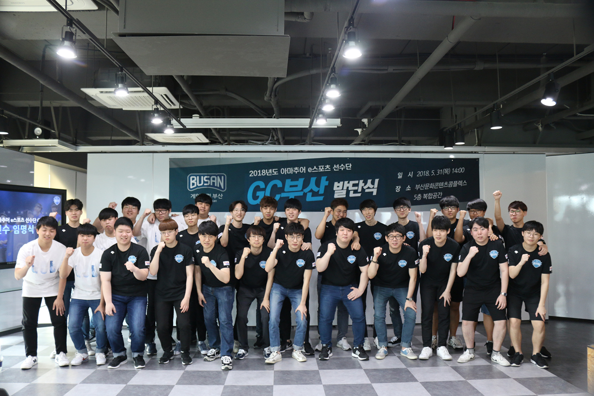 2018년도 아마추어 e스포츠단 