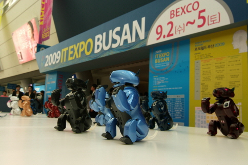 2009 IT EXPO BUSAN 개최(개막행사) 사진